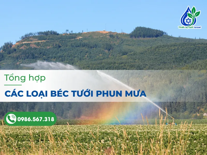 Béc tưới phun mưa là gì? Tổng hợp các loại béc tưới phun mưa phổ biến hiện nay