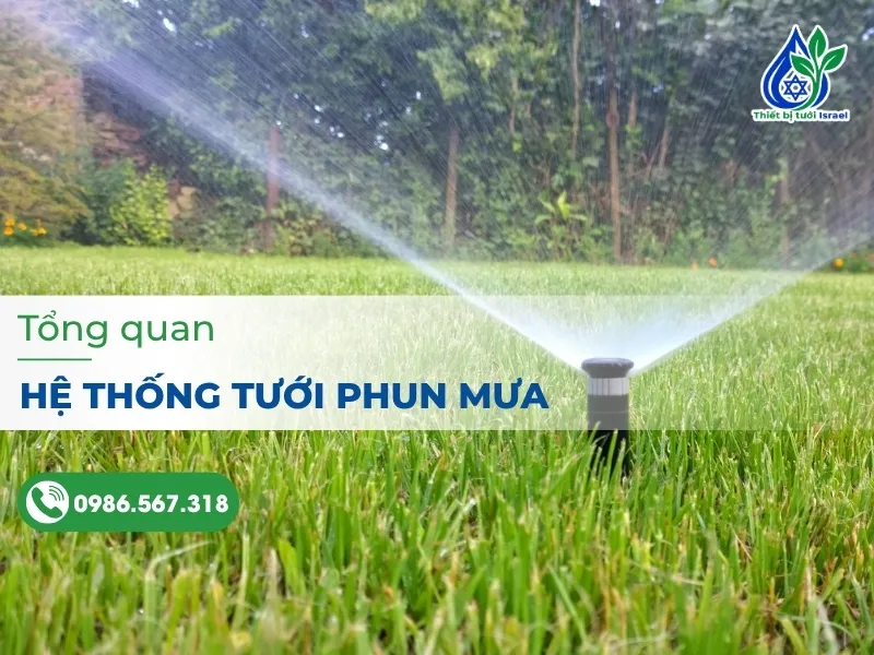 Hệ thống tưới phun mưa là gì? Tìm hiểu chi tiết từ A–Z