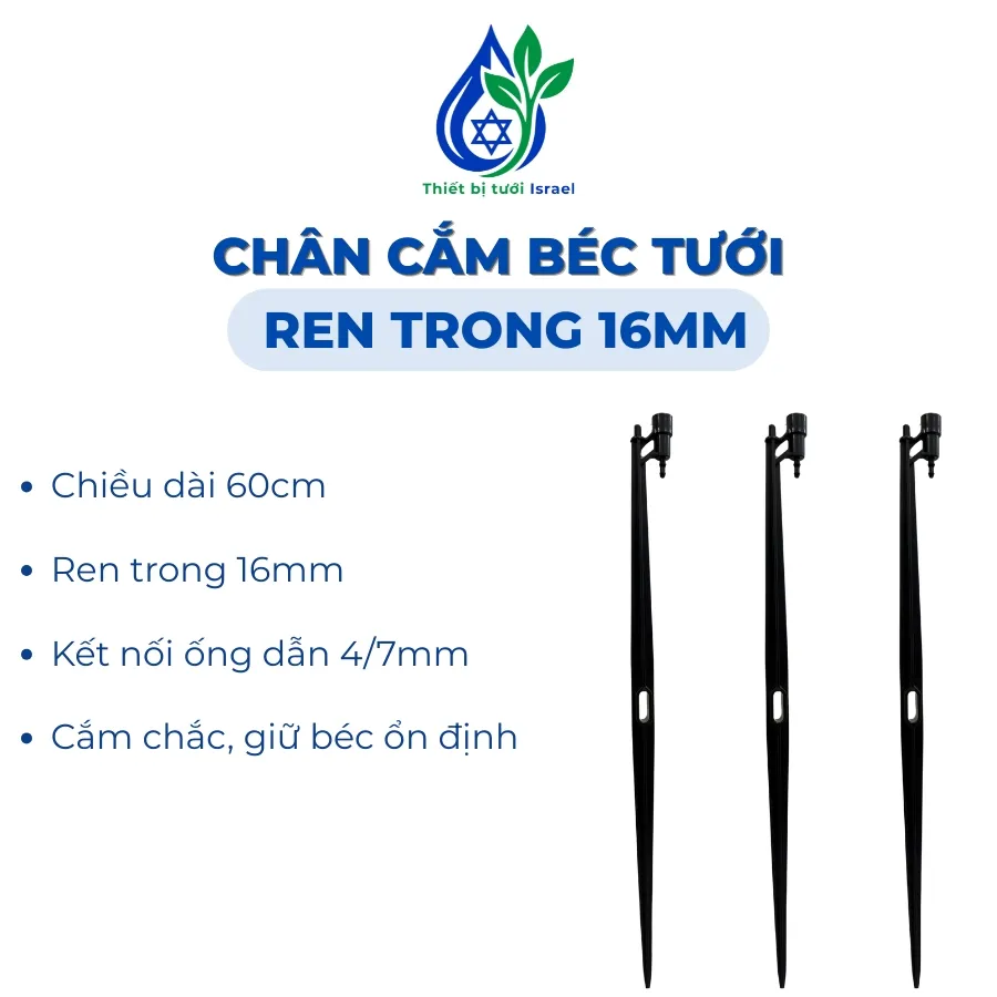 Chân cắm ren trong 16mm