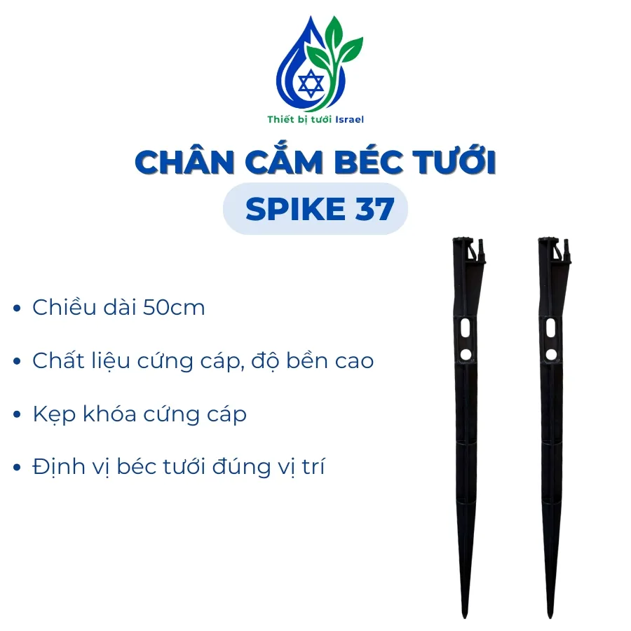 Chân cắm Spike 37