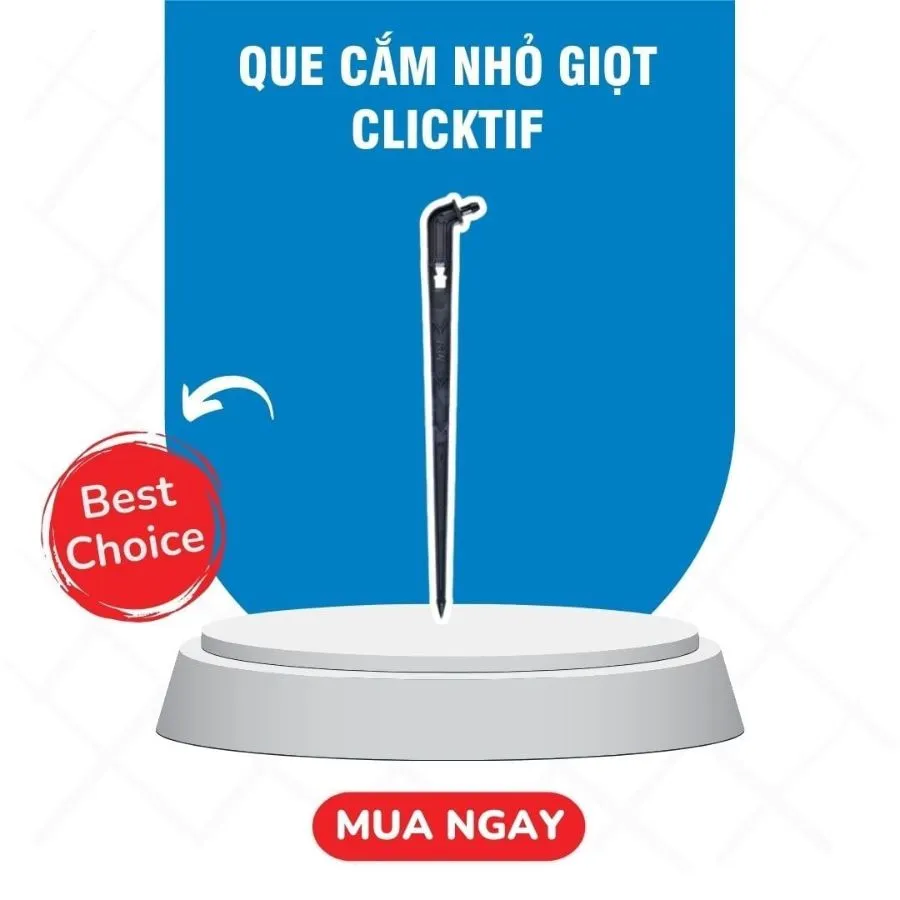 Que cắm nhỏ giọt CLICKTIF