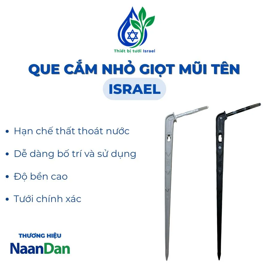 Que cắm nhỏ giọt mũi tên
