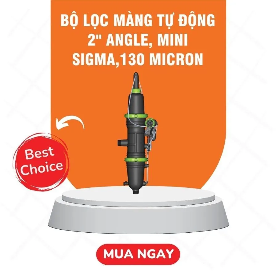 Van điện từ G75 Servo, 2WNC 2